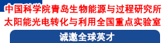 中國(guó)科學(xué)院青島生物能源與過程研究所太陽能光電轉(zhuǎn)化與利用全國(guó)重點(diǎn)實(shí)驗(yàn)室誠(chéng)邀全球英才
