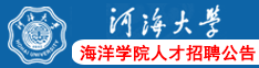 河海大學(xué)海洋學(xué)院人才招聘公告