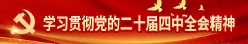 學(xué)習(xí)貫徹黨的二十屆四中全會(huì)精神